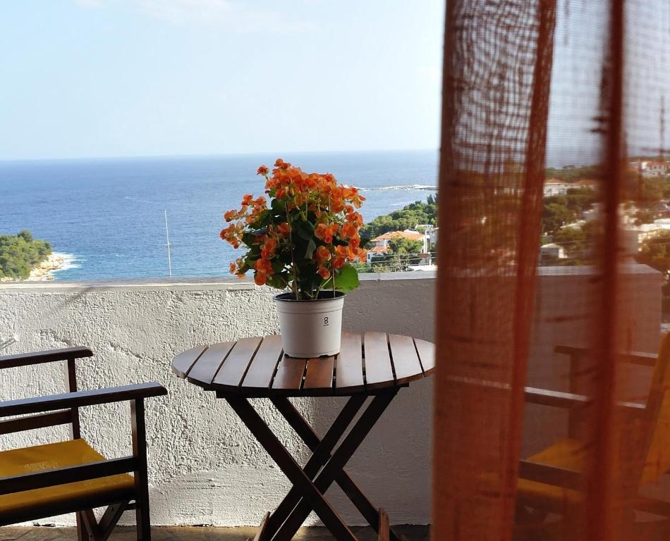 Pension Andromeda Патитири Номер фото