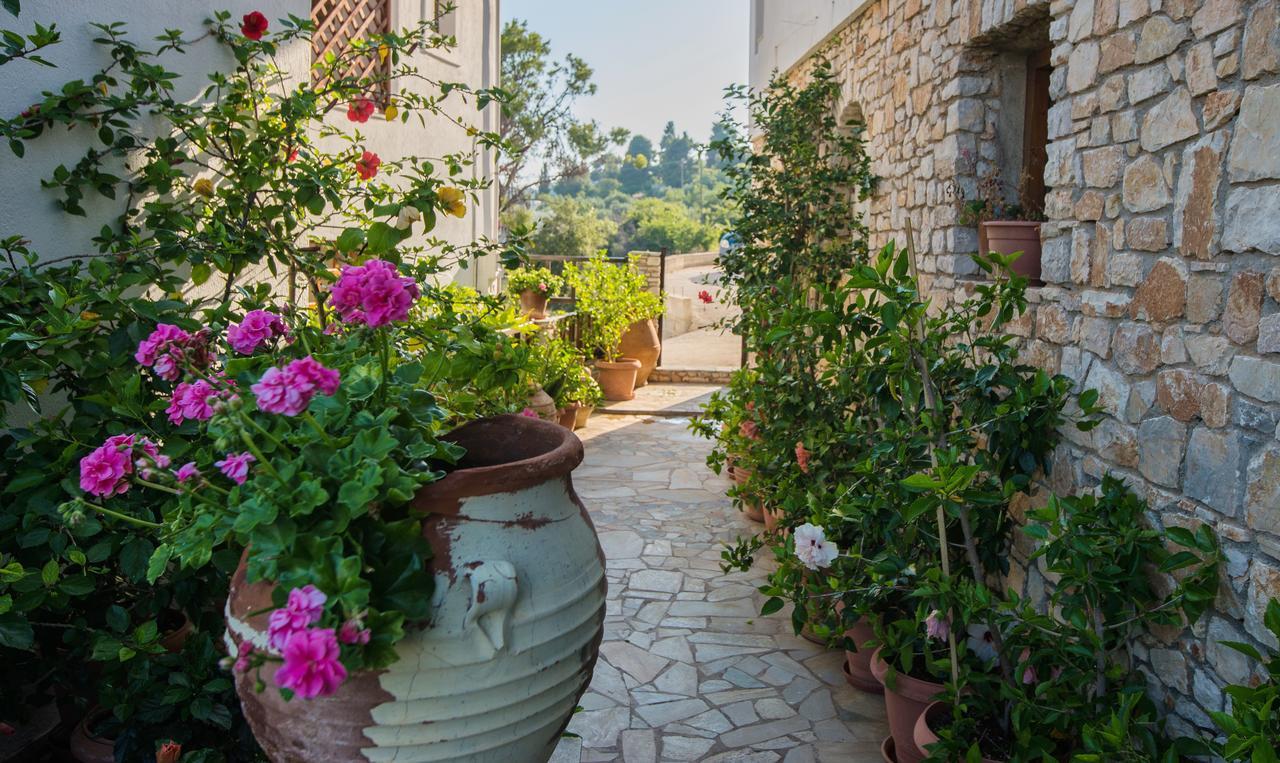 Pension Andromeda Патитири Экстерьер фото